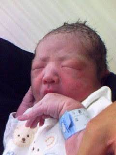 生まれたての写真